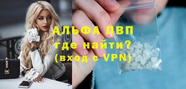 стаф Зеленокумск