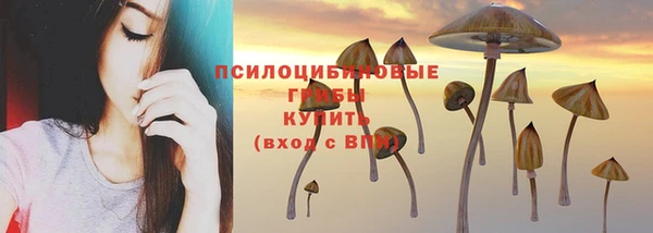 герыч Зерноград