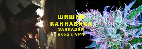 стаф Зеленокумск
