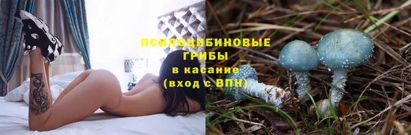 стаф Зеленокумск