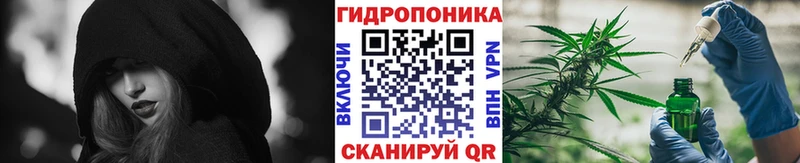 купить наркотики сайты  Ядрин  omg рабочий сайт  Канабис Ganja 